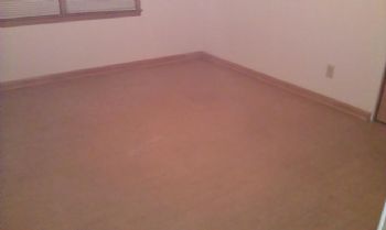 baristagirl1 profile photo