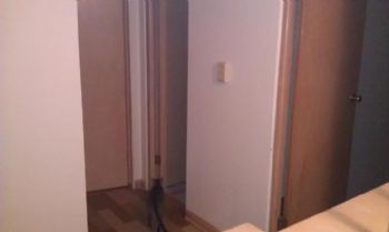 baristagirl1 profile photo