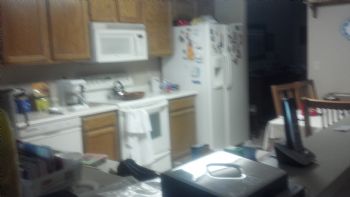 RoosNest profile photo