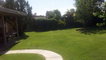 RoosNest profile photo