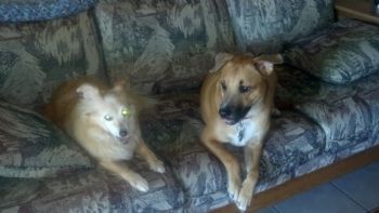 RoosNest profile photo