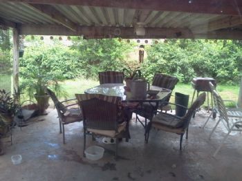 willisgirl profile photo