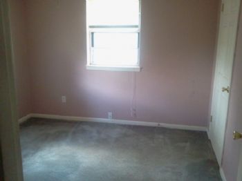 willisgirl profile photo