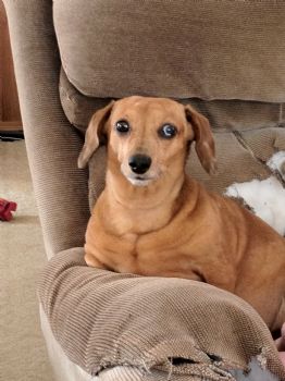 Dylema profile photo