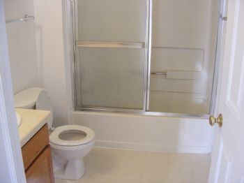 rayout profile photo