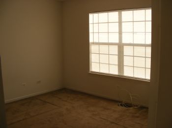 rayout profile photo