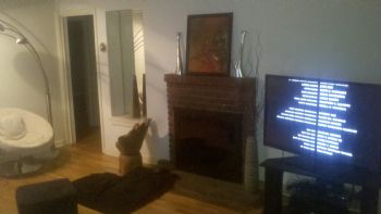 Joe1979 profile photo