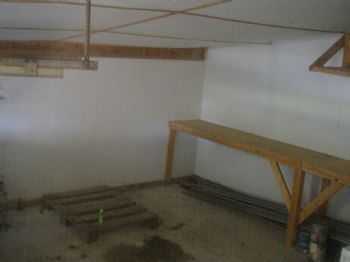 devaleon profile photo