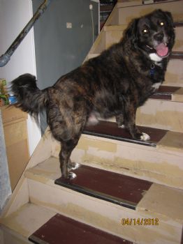 ang1202 profile photo