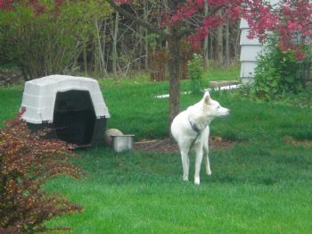 costopowicz profile photo