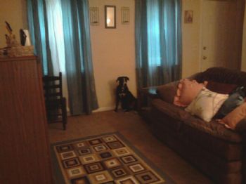 mcgrady.tiff profile photo