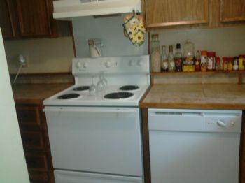 mcgrady.tiff profile photo