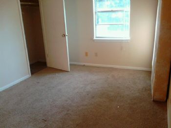 mcgrady.tiff profile photo