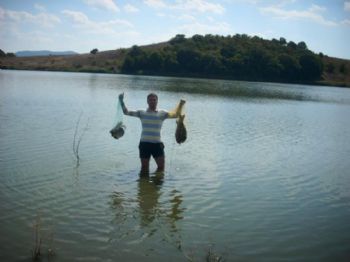 nikiroommate profile photo