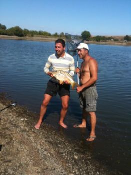 nikiroommate profile photo