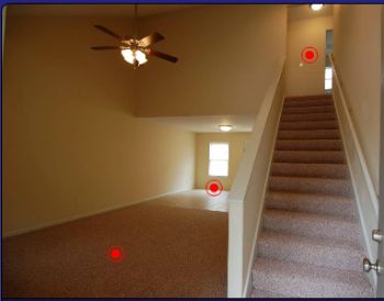 Yunsheng profile photo