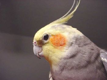 Mike1976 profile photo