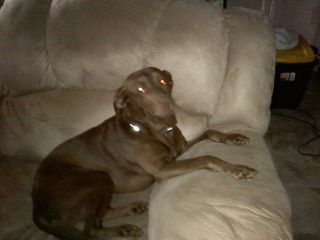 Cathet profile photo