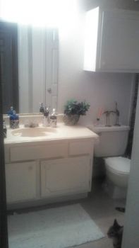 Alexander352 profile photo