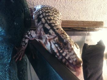 KitKate profile photo