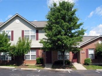 turki281 profile photo