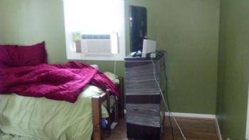 curlymike3 profile photo