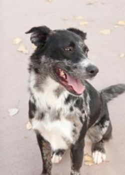 Hannah227 profile photo