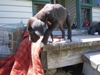 Hannah227 profile photo