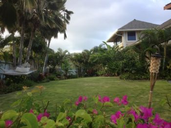 ceci31 profile photo