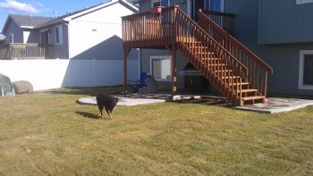 hemi135 profile photo