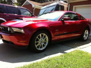 mustangracer profile photo