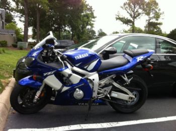 mustangracer profile photo