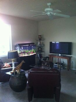 richardallen profile photo