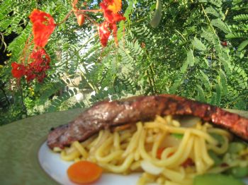 lorrisgibson profile photo