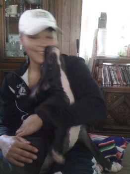 cpizano profile photo