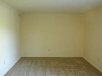 xqz36xq profile photo