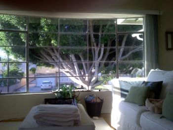 penny1fenqia profile photo