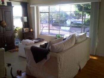 penny1fenqia profile photo