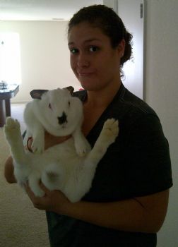 comfyroomie profile photo