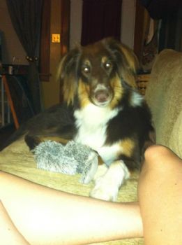 Sahajatri profile photo