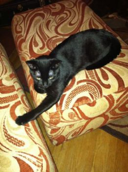 Sahajatri profile photo