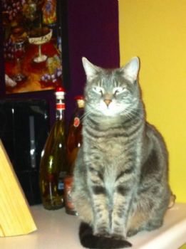 Sahajatri profile photo