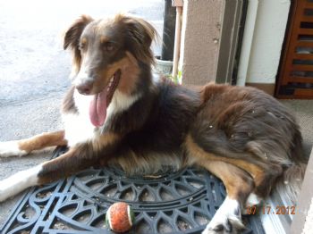 Sahajatri profile photo