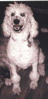 CrystalDiaz profile photo