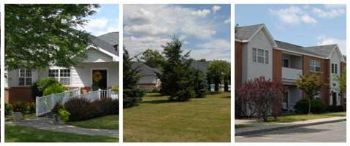 dstmarti profile photo