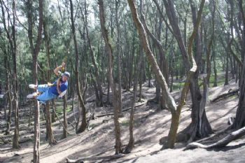 stevesickora profile photo