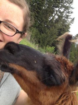 doula-sara profile photo