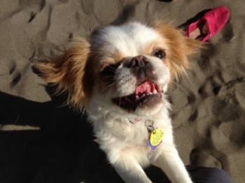 doula-sara profile photo