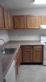 aturner profile photo