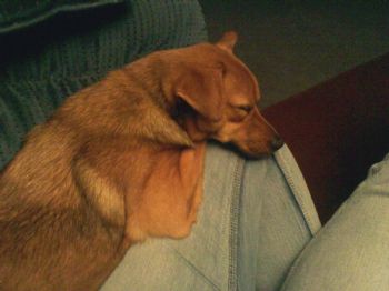 bsears110 profile photo